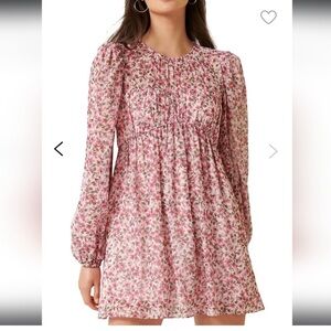 Ever New Blush Pink Dress